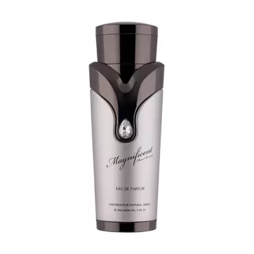 Мъжки Парфюм Armaf Magnificent Pour Homme EDP 100 мл.