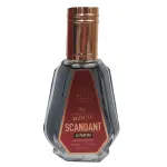Мъжки Парфюм Fragrance World John Gustav Homme Scandant EDP 50 мл.